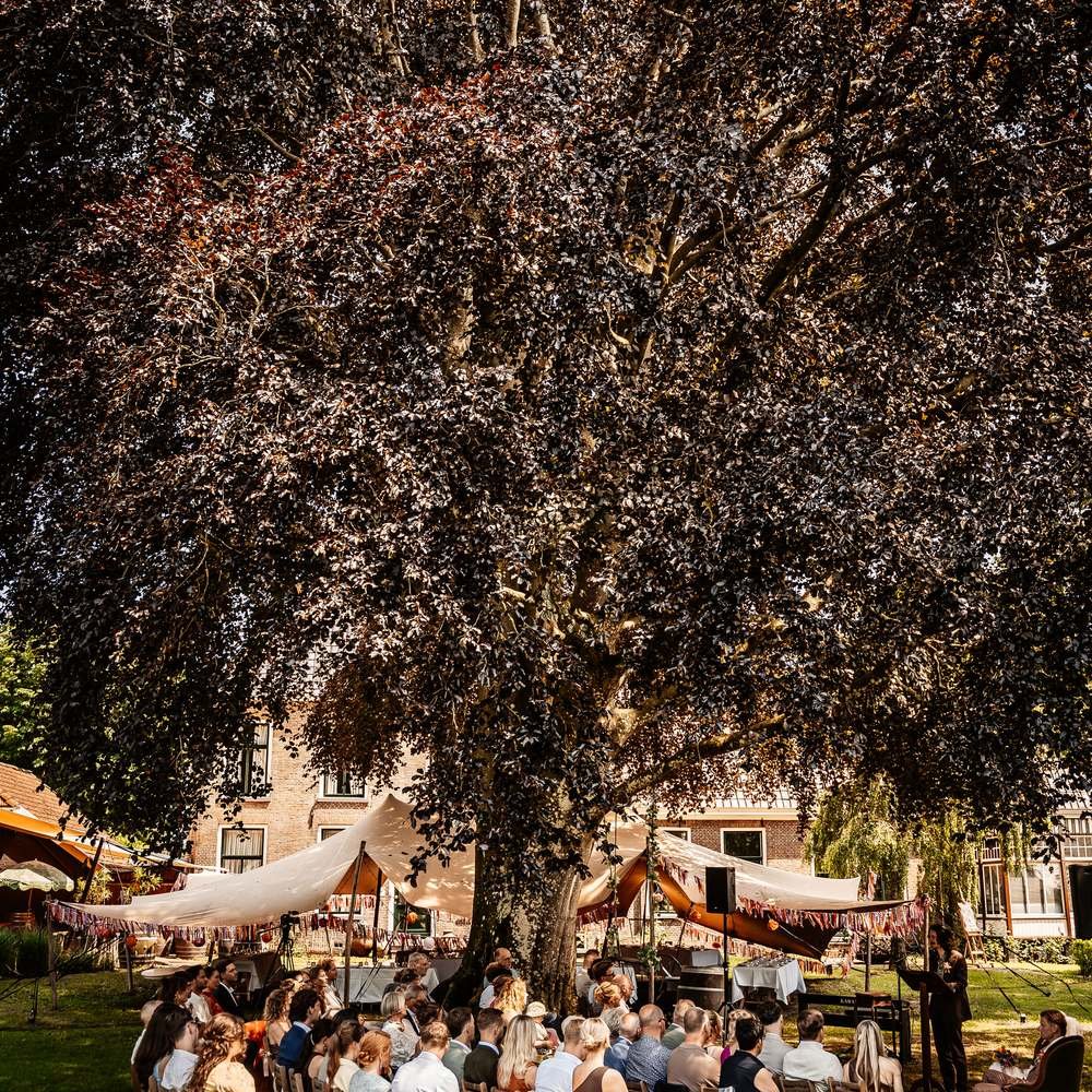 Diner buiten onder de oude boom bij De Amshoff