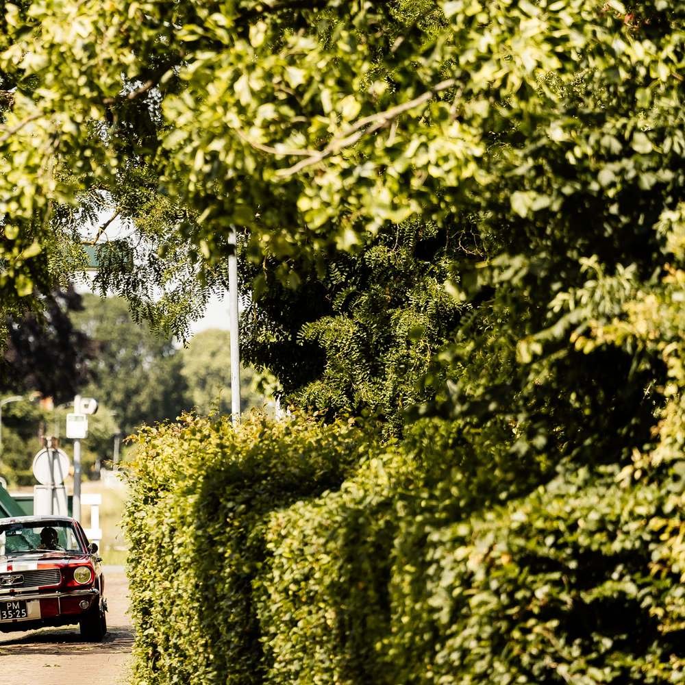 Oldtimer als trouwauto bij De Amshoff